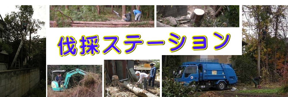長田区の庭木伐採、立木枝落し、草刈りを承ります。